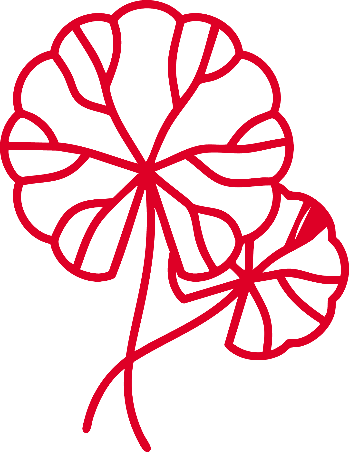 <p>Centella Reversa (Memperbaiki)</p>