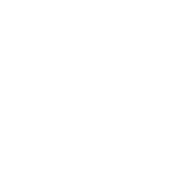 <p>Stretch Marks</p>